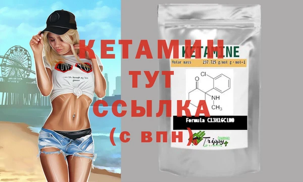 стафф Дмитров
