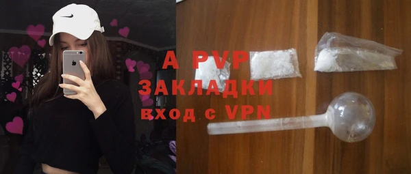 стафф Дмитров