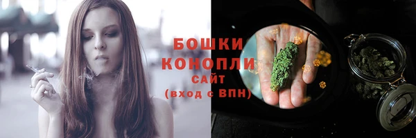 стафф Дмитров