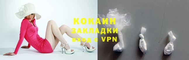 стафф Дмитров